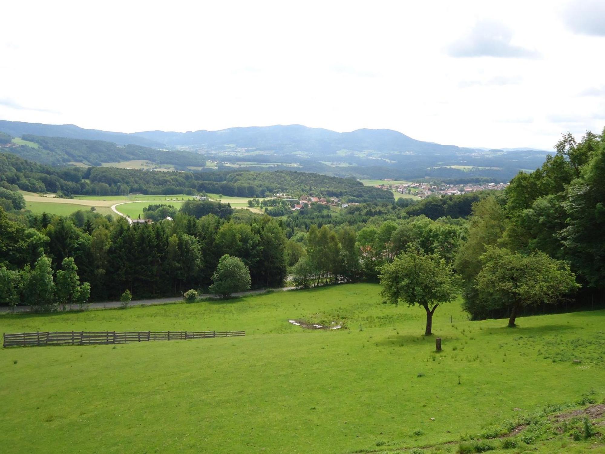 Landhaus Lehnerhof Schaufling Exteriör bild